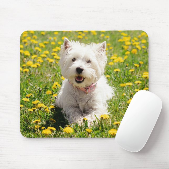 Mousepad Bebês Mais Pobres | Cachorro Ocidental em Dandelio (Com mouse)