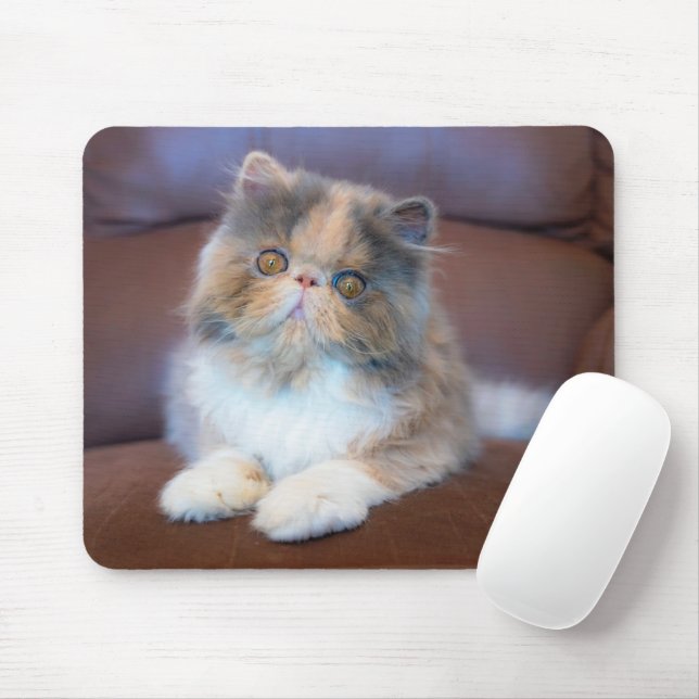 Mousepad Bebês Mais Pobres | Calico Pérsico Kitten (Com mouse)