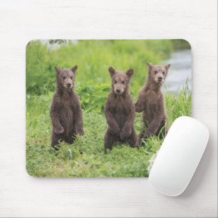 Mousepad Bebês Mais Pobres Camchatka Brown Bear Cubs