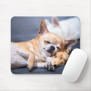 Mousepad Bebês Mais Pobres   Cão Chihuahua de cabelos verme