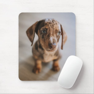 Mousepad Bebês Mais Pobres   Castanho Dachshund Puppy