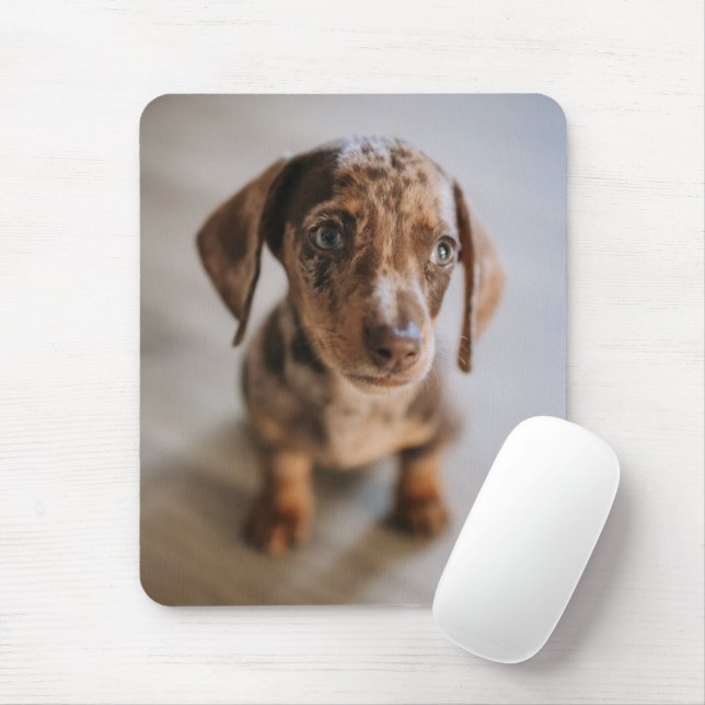 Mousepad Bebês Mais Pobres | Castanho Dachshund Puppy (Com mouse)