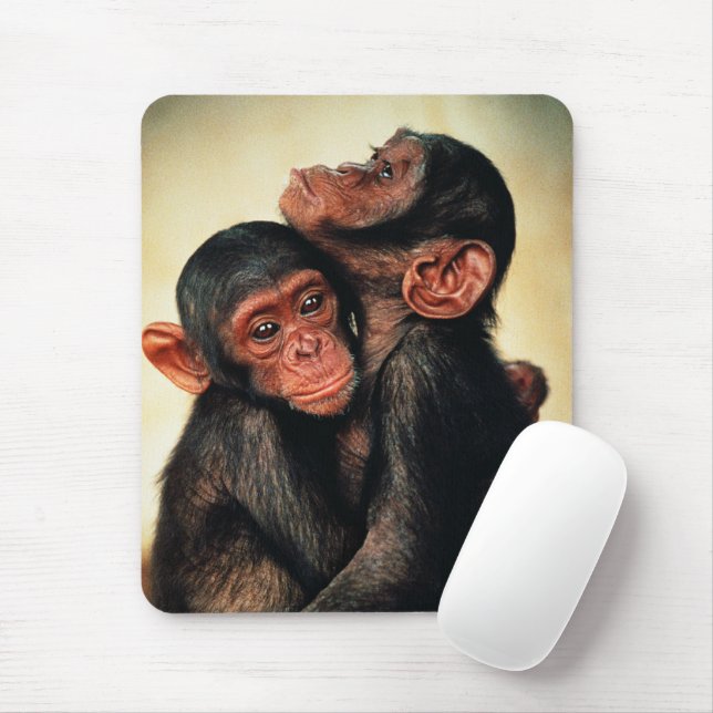 Mousepad Bebês Mais Pobres | Chimpanzé Hug (Com mouse)