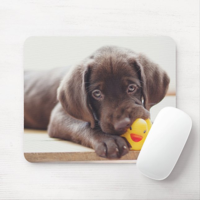 Mousepad Bebês Mais Pobres | Chocolate Labrador Puppy (Com mouse)