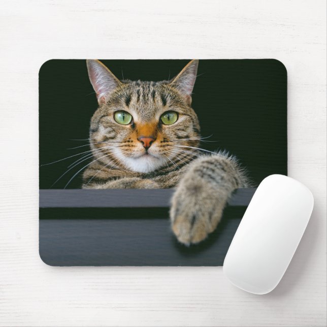 Mousepad Bebês Mais Pobres | Cinza por rosto de gato (Com mouse)