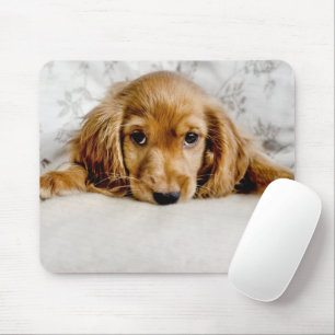 Mousepad Bebês Mais Pobres   Cocker Spaniel Puppy