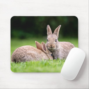 Mousepad Bebês Mais Pobres Coelhos coelhos selvagens