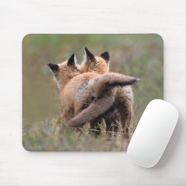 Mousepad Bebês Mais Pobres | Colas de Raposa Vermelha Tranc (Com mouse)