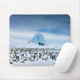 Mousepad Bebês Mais Pobres Colônia de Imperador Penguin