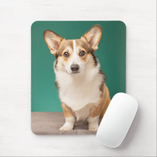Mousepad Bebês Mais Pobres Corgi em Teal