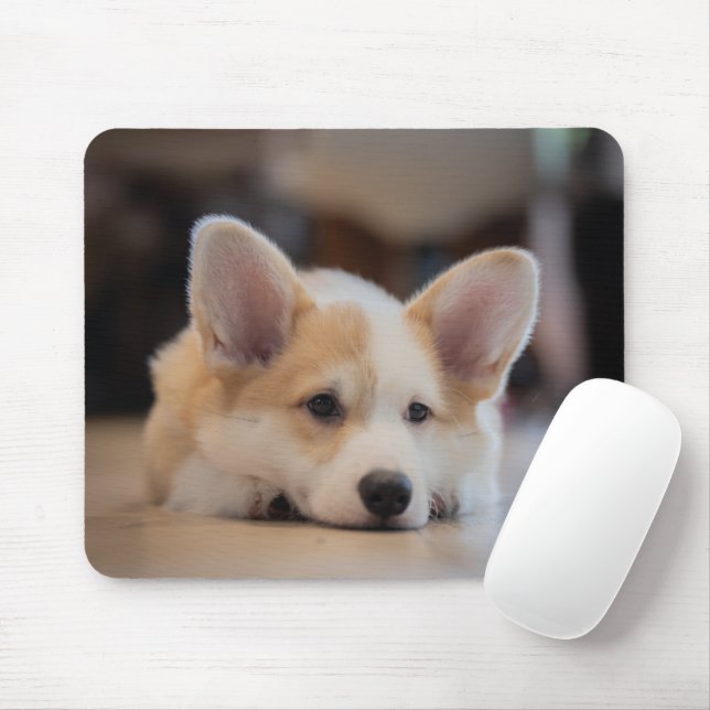 Mousepad Bebês Mais Pobres | Corgi-Puppy com sono (Com mouse)