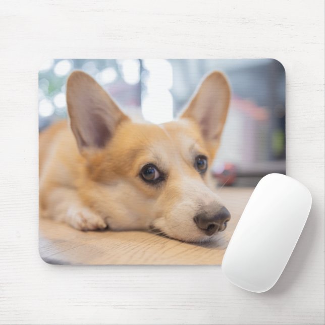 Mousepad Bebês Mais Pobres | Corgi Puppy no chão (Com mouse)