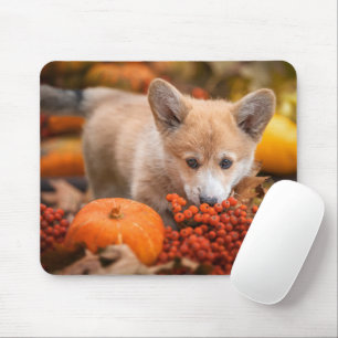 Mousepad Bebês Mais Pobres   Corgi Puppy no outono