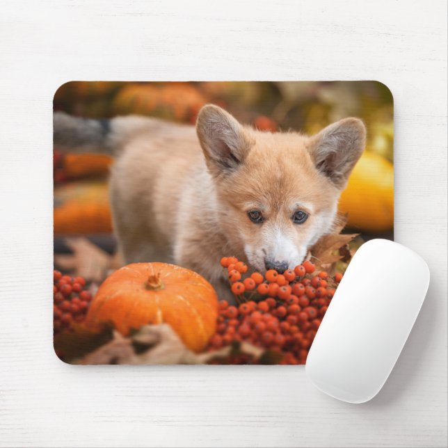 Mousepad Bebês Mais Pobres | Corgi Puppy no outono (Com mouse)