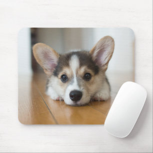 Mousepad Bebês Mais Pobres Corgi Puppy Olhando