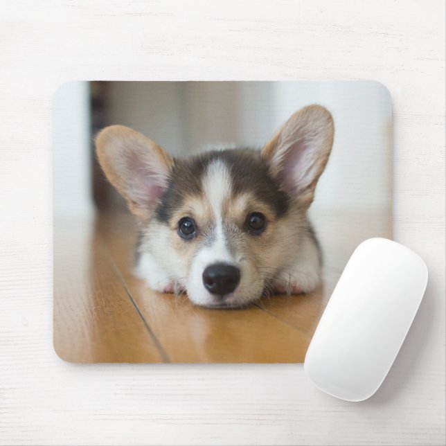 Mousepad Bebês Mais Pobres | Corgi Puppy Olhando (Com mouse)