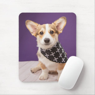 Mousepad Bebês Mais Pobres   Corgi Puppy Skull Bandana