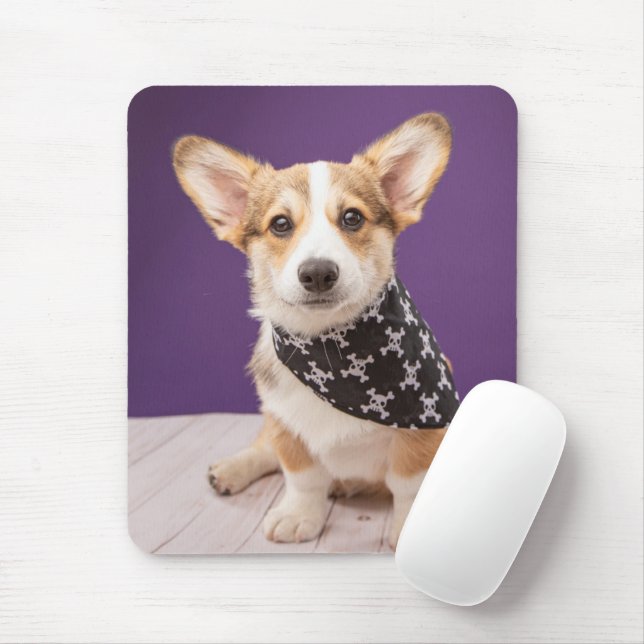 Mousepad Bebês Mais Pobres | Corgi Puppy Skull Bandana (Com mouse)