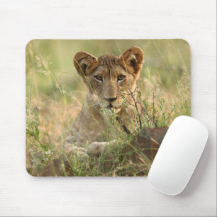 Mousepad Bebês Mais Pobres   Cubo-Leão-Bebê