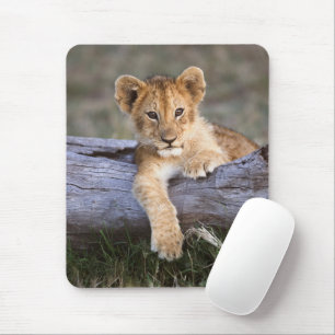 Mousepad Bebês Mais Pobres Cubo-Leão-Cinto