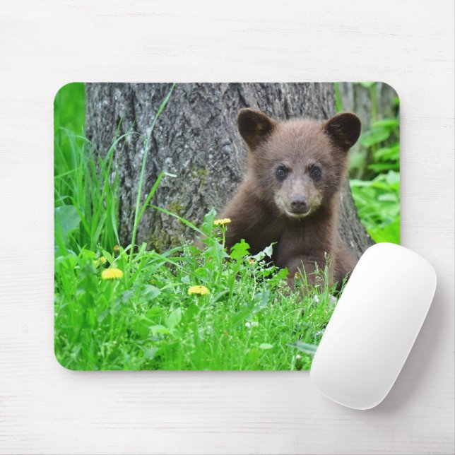Mousepad Bebês Mais Pobres | Cubo-Urso-Marrom (Com mouse)