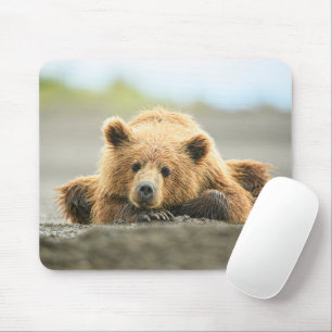 Mousepad Bebês Mais Pobres   Cubo-Urso-Marrom Costeiro
