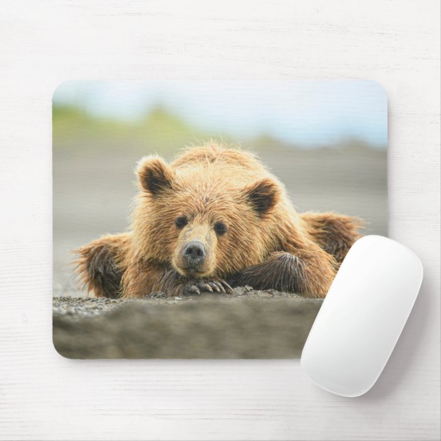 Mousepad Bebês Mais Pobres | Cubo-Urso-Marrom Costeiro (Com mouse)