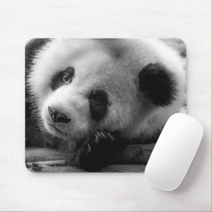 Mousepad Bebês Mais Pobres   Cubo-Urso-Panda Gigante