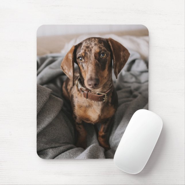 Mousepad Bebês Mais Pobres | Dachshund De Chocolate (Com mouse)