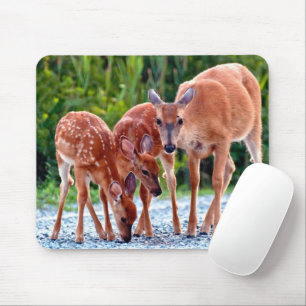 Mousepad Bebês Mais Pobres   Descoberto com bebês
