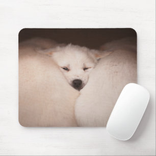 Mousepad Bebês Mais Pobres   Dispositivo de Ouro