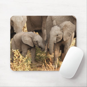 Mousepad Bebês Mais Pobres Dois elefantes jovens