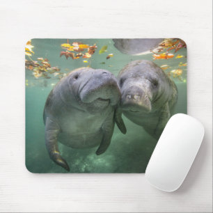 Mousepad Bebês Mais Pobres Dois Manatins