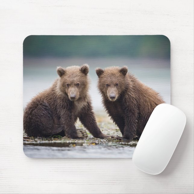 Mousepad Bebês Mais Pobres | Duas Cubas De Urso (Com mouse)