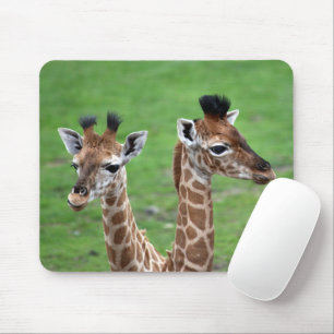 Mousepad Bebês Mais Pobres   Duas Girafas Bebidas