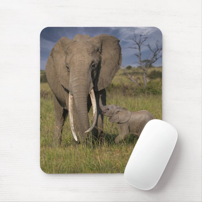Mousepad Bebês Mais Pobres | Elefante Amama Com Bebê (Com mouse)