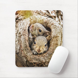 Mousepad Bebês Mais Pobres Esquilos-bebê curiosos