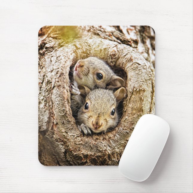 Mousepad Bebês Mais Pobres | Esquilos-bebê curiosos (Com mouse)