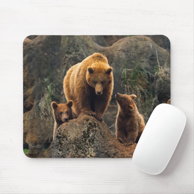 Mousepad Bebês Mais Pobres | Família Brown Bear (Com mouse)