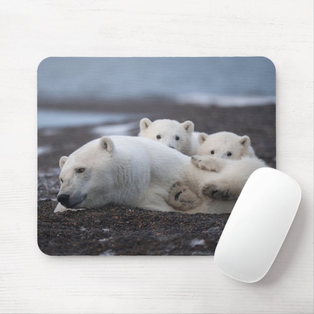 Mousepad Bebês Mais Pobres | Família Polar Bear Alaska (Com mouse)