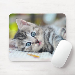 Mousepad Bebês Mais Pobres Gatinho Com Olhos Azuis