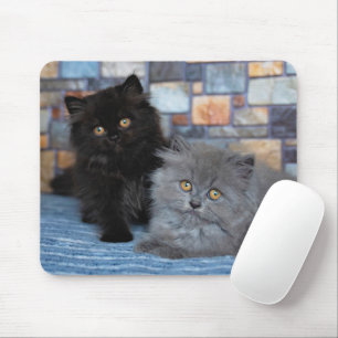 Mousepad Bebês Mais Pobres Gatinhos Persa em Aberto
