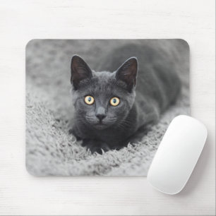 Mousepad Bebês Mais Pobres Gato Cinza