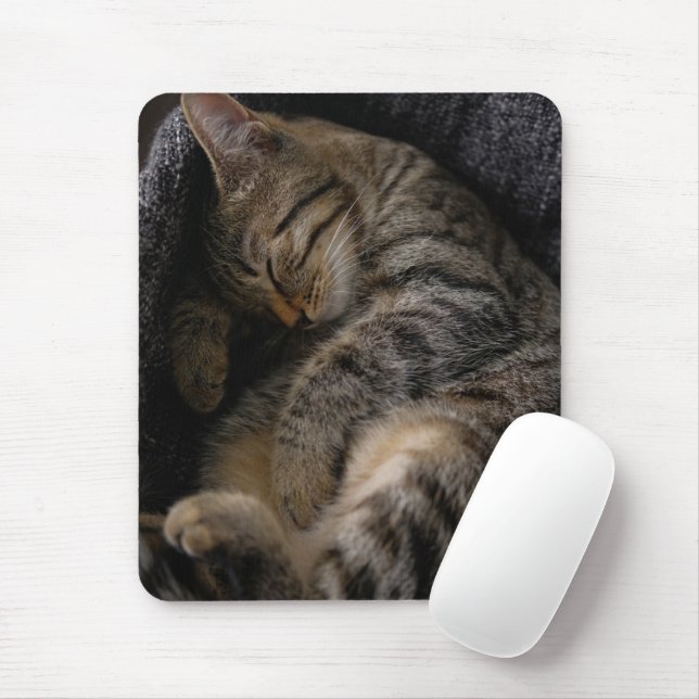 Mousepad Bebês Mais Pobres | Gato-De-Dormir (Com mouse)