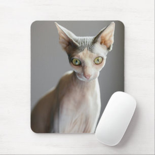 Mousepad Bebês Mais Pobres Gato esfingx