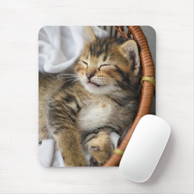 Mousepad Bebês Mais Pobres | Gato-Gato-Gato (Com mouse)
