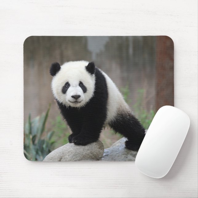 Mousepad Bebês Mais Pobres | Giant Panda Baby (Com mouse)