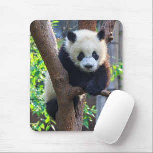 Mousepad Bebês Mais Pobres   Giant Panda Cub