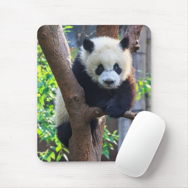 Mousepad Bebês Mais Pobres | Giant Panda Cub (Com mouse)