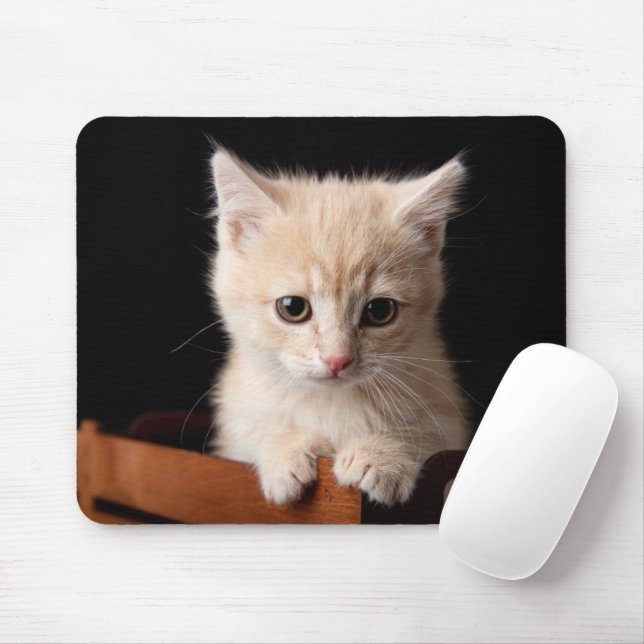 Mousepad Bebês Mais Pobres | Ginger Kitten (Com mouse)